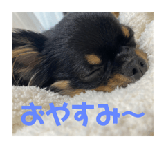Risa_20200903120912