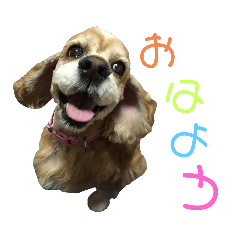 hanamama_20200903164634