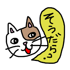 Ensyu dialect cat