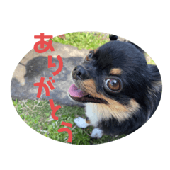 Risa_20200903202059