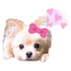 natsumi_20200903213928