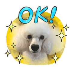 arisa_20200903235651