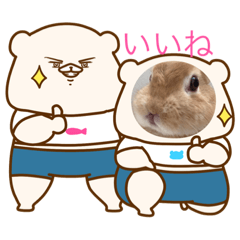 Tonton_20200903190051