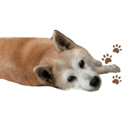 hikari_20200903203003