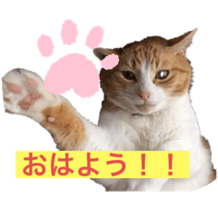 chisa_20200903233955