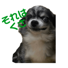 takashi_20200904020115