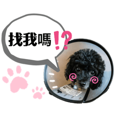 阿菁的嚕咪
