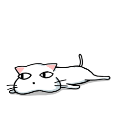 Tamasaburo the white cat