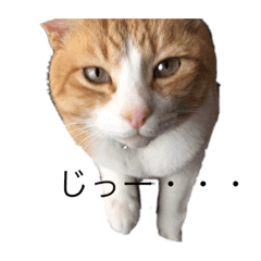 chisa_20200904003913