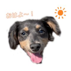 kaho_20200904093250