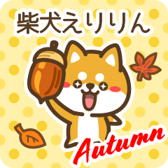 Shiba Eririn in Autumn