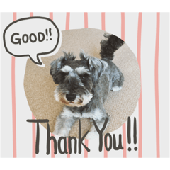 Takuya Iwata_rinstamp