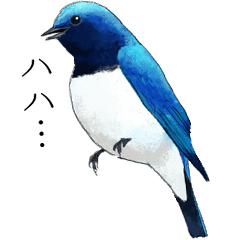 日本の野鳥～夏山の野鳥～