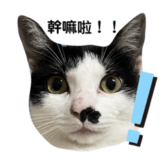 麵線與淑芬❤️