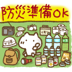 disaster countermeasure