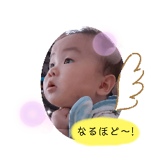 panda_20200904132021