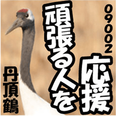 GoodDay-sticker@Japanese crane02