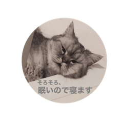 Saya_20200904115806