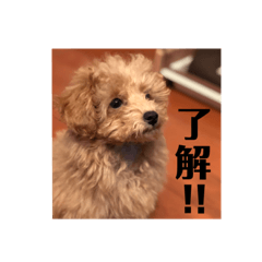 Asuka_20200904120439