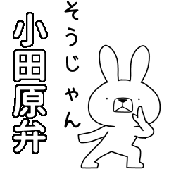 BIG Dialect rabbit [odawara]