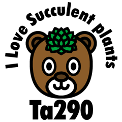 Succulent plants bear Ta290 Ver.2