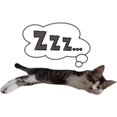 natsumi_20200903184615