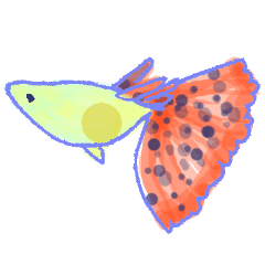 cute and cool fish