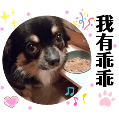 我的王子們：）