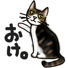 Sticker of a cat with a name as hachi