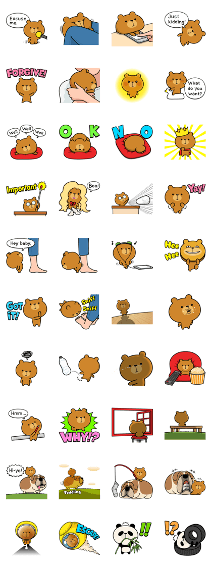 ASSERTIVE BEAR 3.