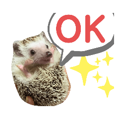 使える！瀧井家ハリタヌスタンプ