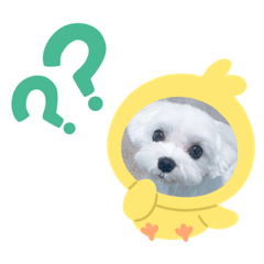 akiko_20200904205459