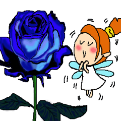 Fairy roses