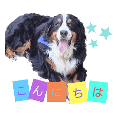 koumone_20200905122752