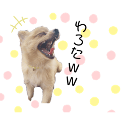 yurina_20200905015110