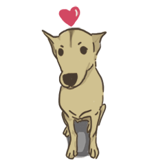Short legs Dog