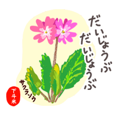 【下斗米】オトナの花敬語