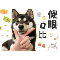 Q比&日常生活（2.0）