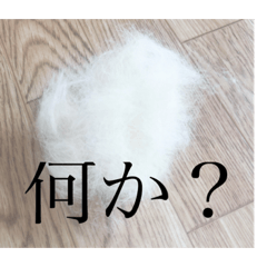 Aoi_20200905123435