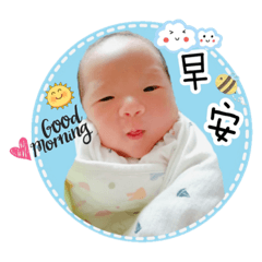 羿鋒小蜜蜂