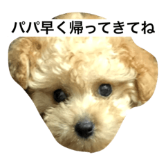 natsumi_20200905162251