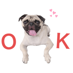 mochi_20200905160336