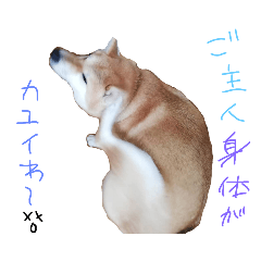 yun_20200905171359