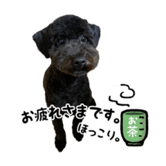 yakichi_20200905192743