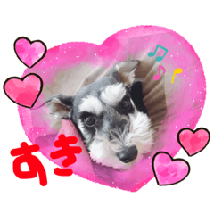 SEIRA_20200905224717