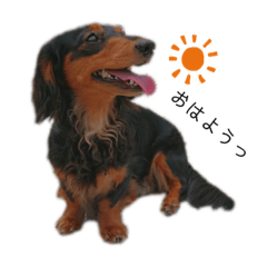 yamada_20200906100634