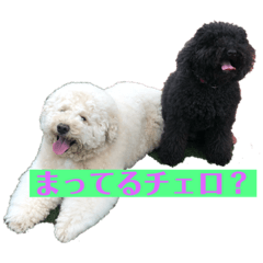 natsumi_20200906110621