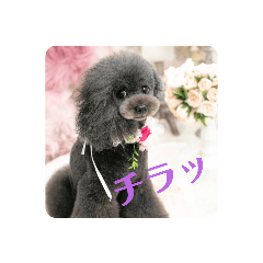 asako_20200906111929