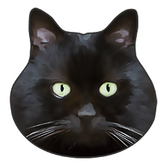 Various black cats