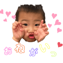 hikari_20200906143710